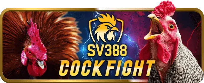 Sân bóng đá với quả bóng và khung thành, biểu tượng cá cược bóng đá vk88